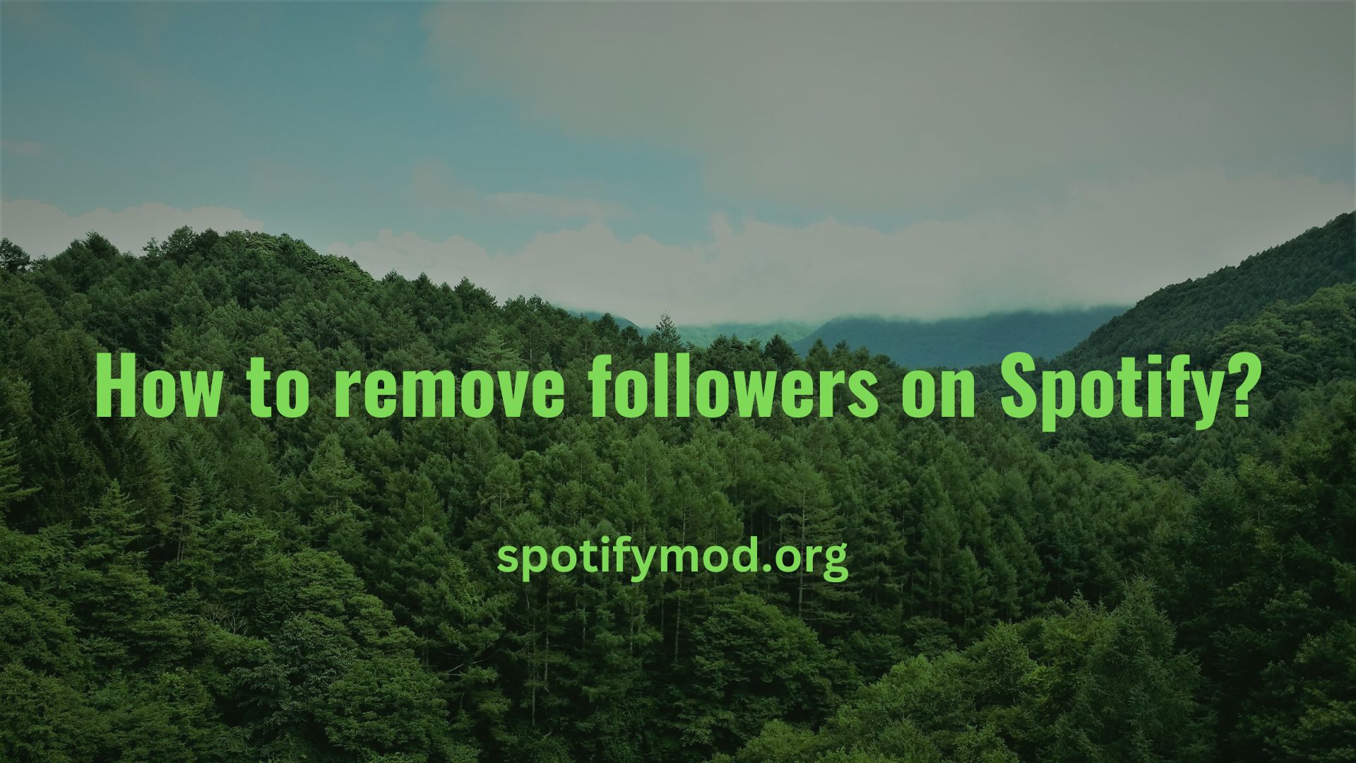 How to remove followers on Spotify?