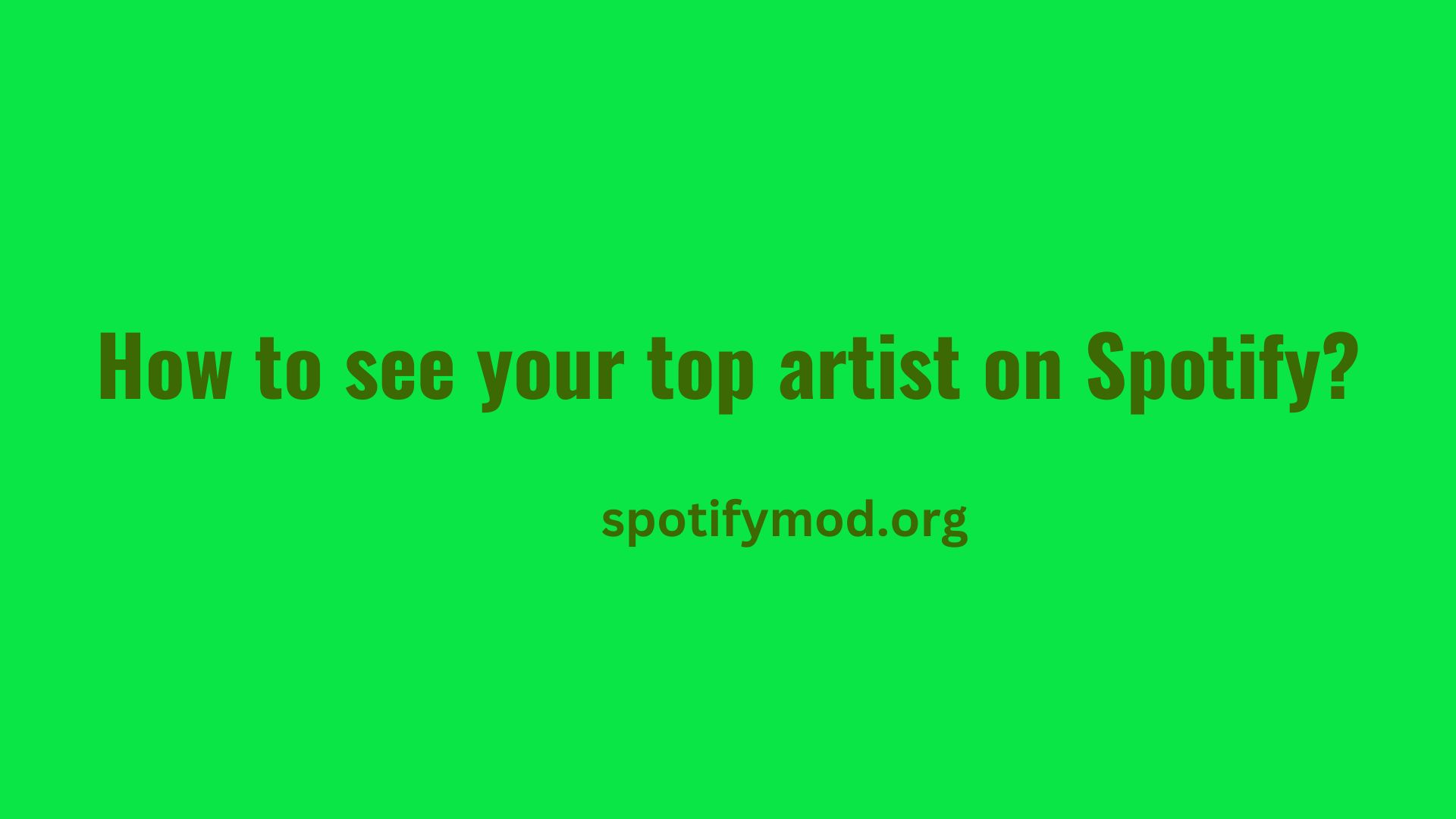 How to see your top artist on Spotify?